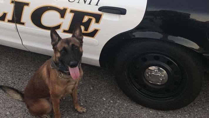 Show Tucson's police dogs love, help them win training facility upgrades
